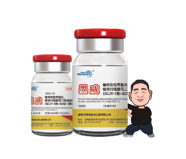 豬傳染性胃腸炎、豬流行性腹瀉二聯(lián)活疫苗
